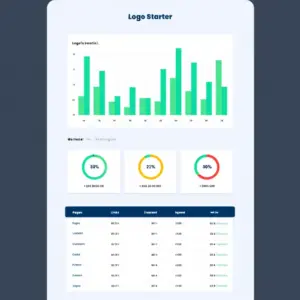 Starter Website SEO Audit