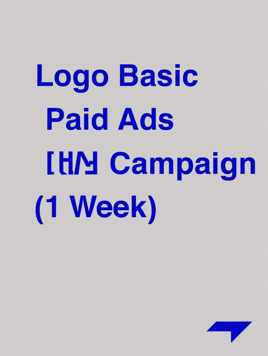 Basic Paid Ads Campaign (1 Week)