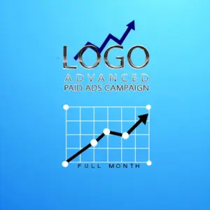 Advanced Paid Ads Campaign (Full Month)